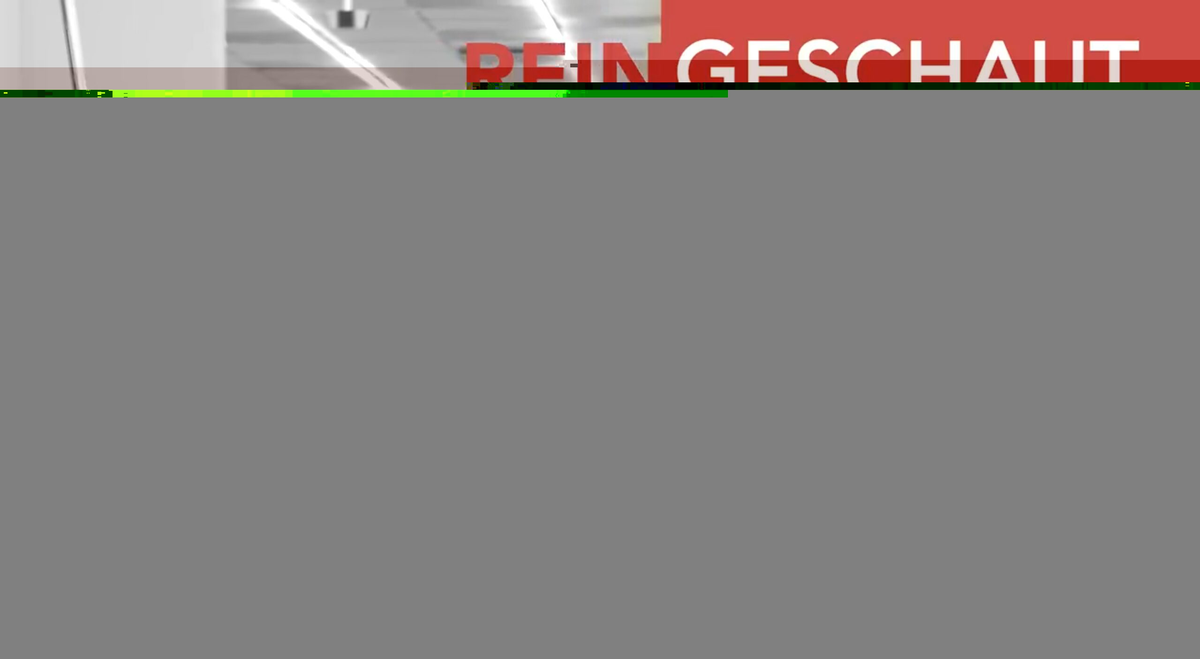 Reingeschaut bei Dastex